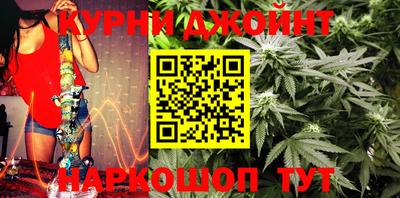 амф Кингисепп