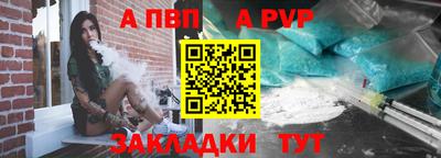 амф Кингисепп
