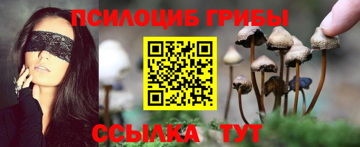 Галлюциногенные грибы мухоморы Куйбышев